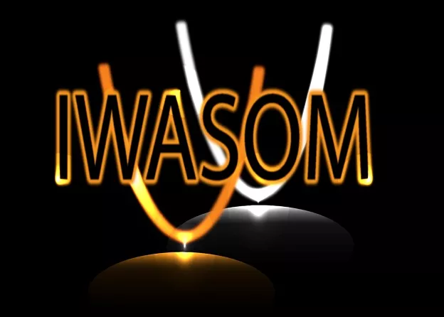 The 9th International Workshop on Advanced Spectroscopy and Optical Materials (IWASOM)