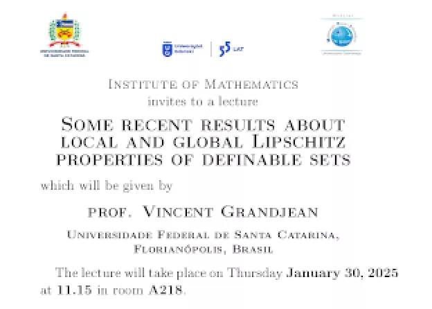 Some recent results about local and global Lipschitz properties of definable sets
